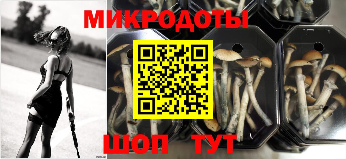 Псилоцибиновые грибы прущие грибы  Вход с VPN  купить наркотики цена  Мурино  Псилоцибиновые грибы MAGIC MUSHROOMS 